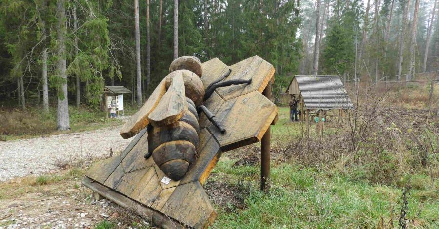 Ścieżka Bartnicza w Puszczy Knyszyńskiej - zdjęcie