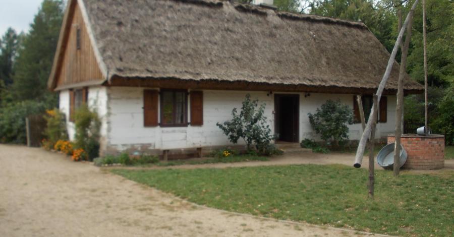 Ogród botaniczny w Łodzi: mini skansen, sad, labirynt grabowy - zdjęcie