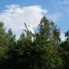 , Mariusz
