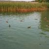 , Mariusz