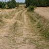 , Mariusz