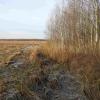 widok z Carskiej Drogi, Joanna