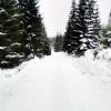 , MaciejW