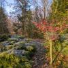 Arboretum w Pietrowicach Wielkich