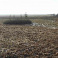 widok z wieży na Bagno Ławki, Joanna