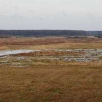 widok z wieży koło Laskowca, Joanna