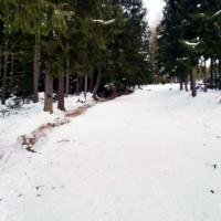 , MaciejW