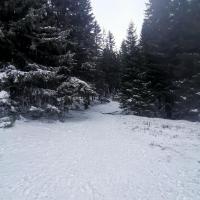 , MaciejW