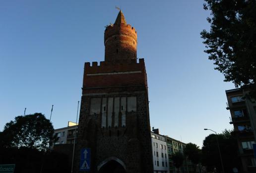 , Mariusz
