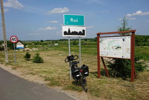 , Mariusz
