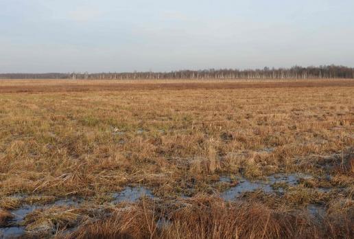 widok z Długiej Luki, Joanna