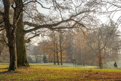 Park w Krowiarkach