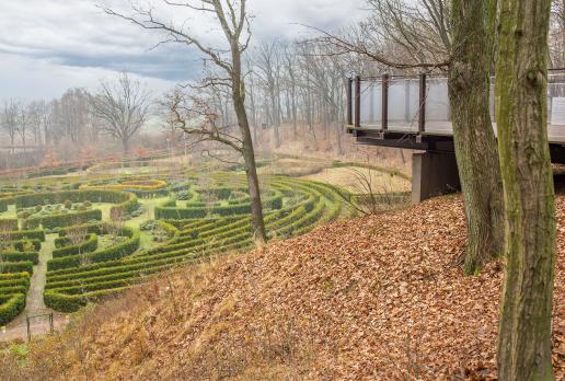Arboretum Bramy Morawskiej