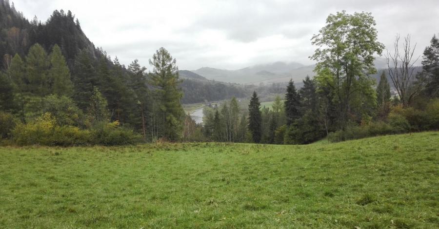 Pieniny we mgle-trzy korony i sokolica na pożegnanie. - zdjęcie