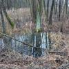, Mariusz