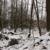 , Mariusz