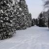 Park Planty, Joanna