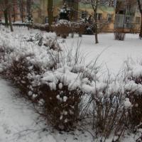zima w mieście Karolew IV, tomtur