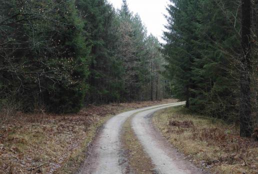 co nas czeka za kolejnym zakrętem?, Joanna