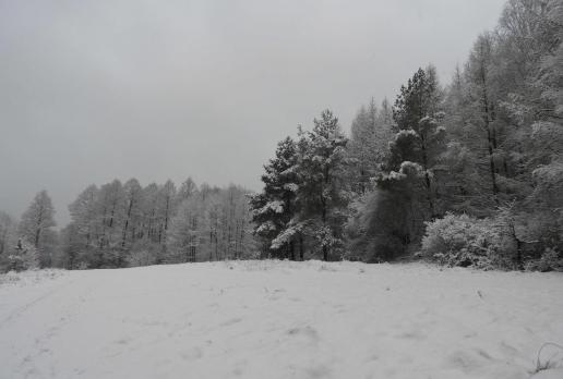 nad Jeziorem Komosa, miejsce na bałwana, Joanna