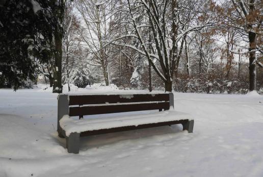 Park Stary, Joanna