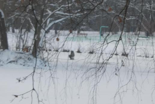 Wędkarz przeręblowy, Park Zdrowie, Łódź, tomtur