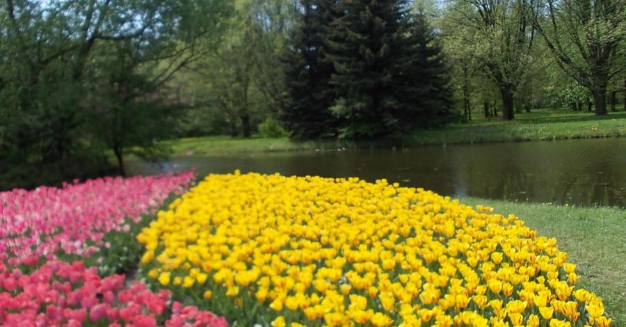 Wiosenna odsłona Ogrodu Botanicznego w Łodzi - zdjęcie