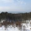 widok z wieży, Joanna