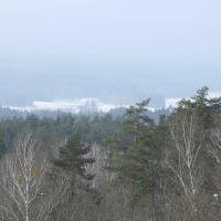 widok z wieży, Joanna