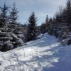 śnieg na szlaku, mirosław