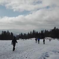 widok ze szlaku, mirosław