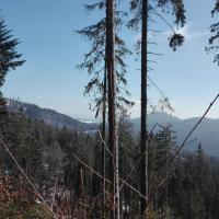 widok ze szlaku, mirosław