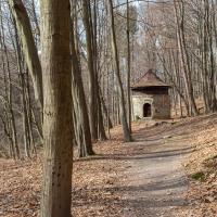 Park Repecki z Szybem Ewa