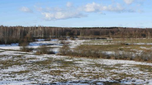 widok z wieży, Joanna