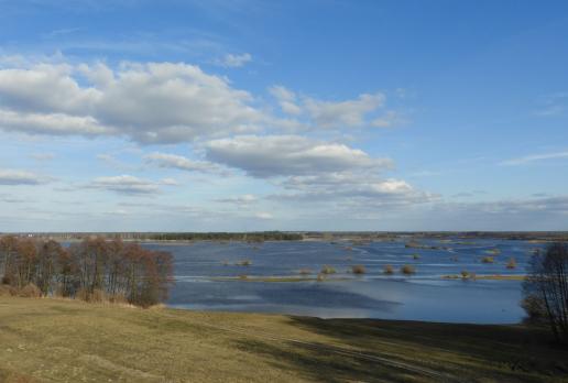 widok z Grodziska Sambory, Joanna