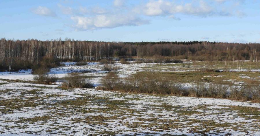 Rezerwat Nietupa z wieżą widokową i żurawiami. - zdjęcie