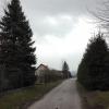 asfalt na szlaku, mirosław