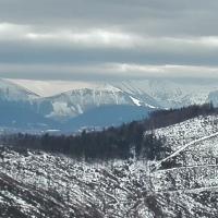 widok, mirosław