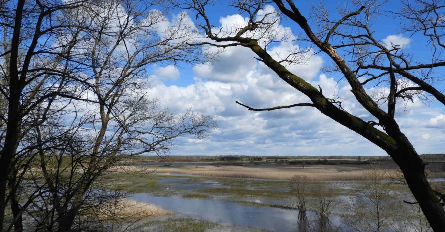 Góra Skobla i znów Biebrza - zdjęcie