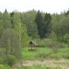widok z wieży, Joanna
