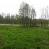 widok na dolinę Narewki, Joanna