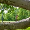 Park zabytkowy przy pałacu
