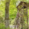 Arboretum w Lipnie - wieża widokowa