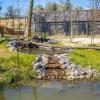 Zoo 