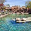 Zoo 