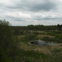 widok z wieży, Joanna