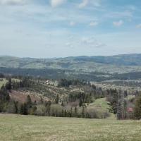 widok, mirosław