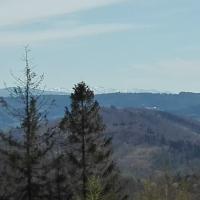 widok, mirosław
