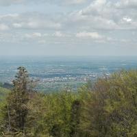 widok, mirosław