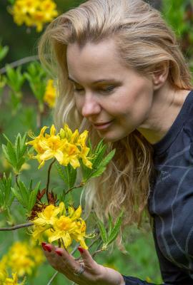 Arboretum w Lipnie - azalie